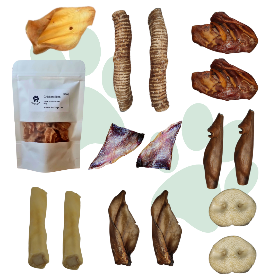 Mystery Treats & Chews Box