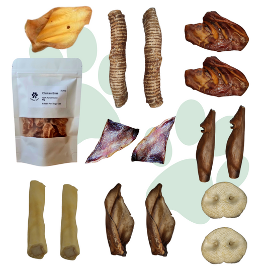 Mystery Treats & Chews Box