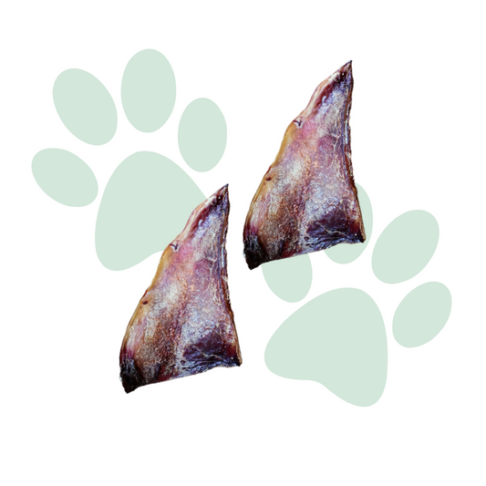 Moon Bone (3 Pack, 10 Pack)