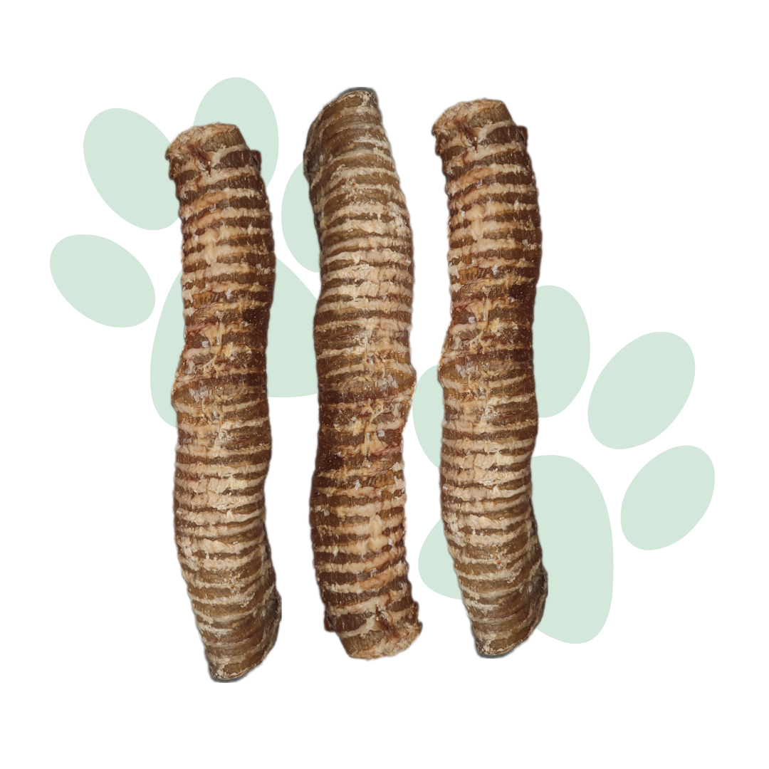 Large Beef Trachea (3 pack, 10 pack)