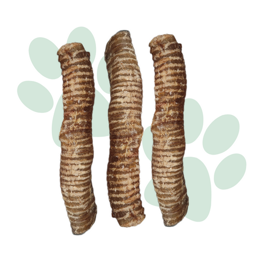 Large Beef Trachea (3 pack, 10 pack)